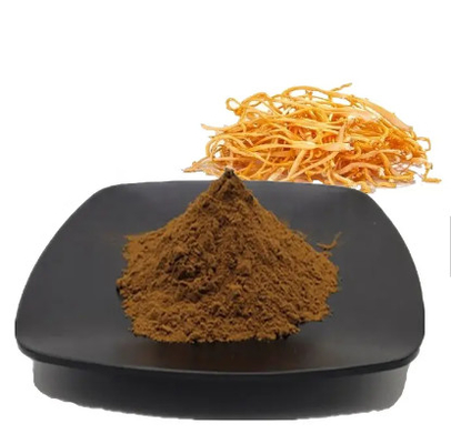 10/1 Pure Plant Extracts Cordyceps Sinensis Flower Extract