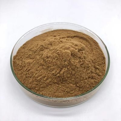 Astragalus Root Pure Plant Extracts , 10% Astragaloside Iv Powder