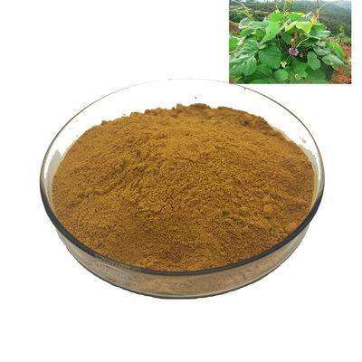 Wholesale High Quality Food Grade Pueraria Root Extract