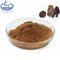 Reishi Mushroom Ganoderma Lucidum Extract 84687-43-4 Brown Fine Powder