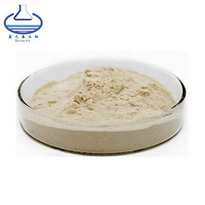 HPLC Phaseolin Lutein Extract Powder , White Kidney Bean Extract For Slimming