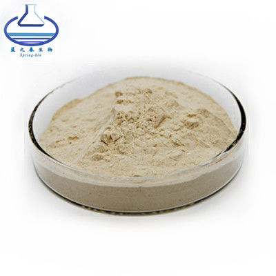 HPLC Phaseolin Lutein Extract Powder , White Kidney Bean Extract For Slimming