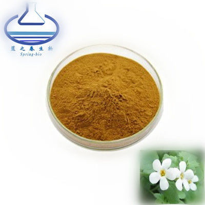 Bacopa Monnieri Lutein Extract Powder 50% Bacoside Maintain Health
