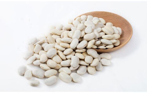 Cosmetics Grade white Kidney Bean Extract Powder 2% Phaseolin