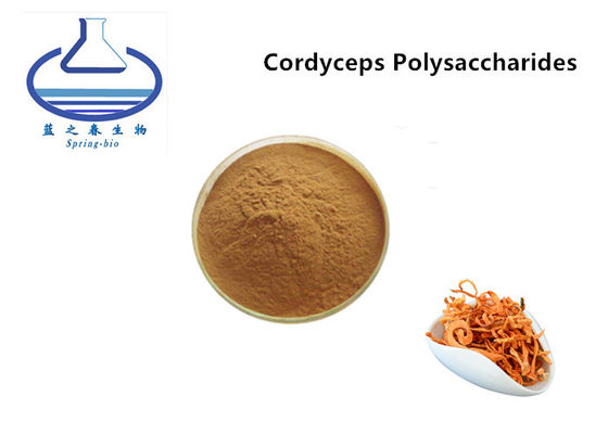 Natural Herbal Cordyceps Extract Powder 30% 50% Cordyceps Polysaccharides