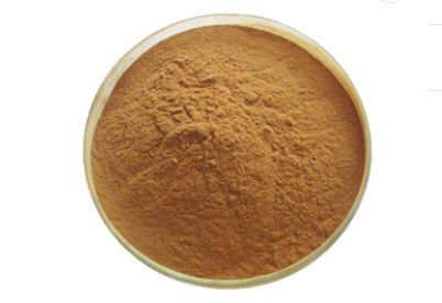 Natural Herbal Cordyceps Extract Powder 30% 50% Cordyceps Polysaccharides