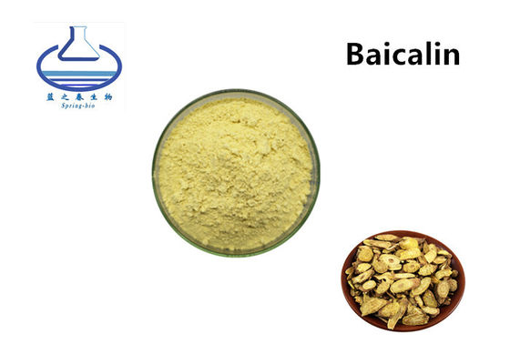 Baicalin Pure Plant Extracts Baical Skullcap Root Extract
