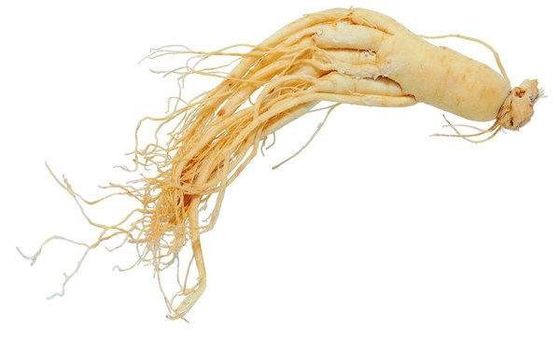 CAS 72480-62-7 Pure Plant Extracts Panax Ginseng Extract Powder