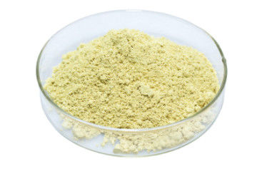 Raw Material Rutinum 95% Natural Rutin Extract Powder CAS 153-18-4
