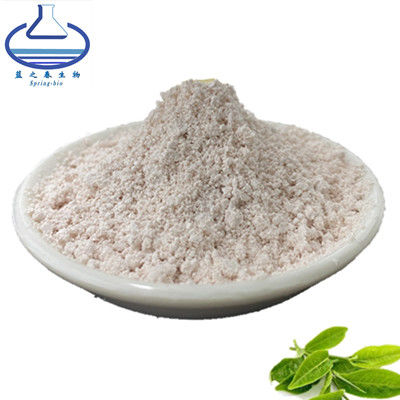 7295-85-4 Pure Plant Extracts , 98% Epigallocatechin Gallate EGCG Extract Powder