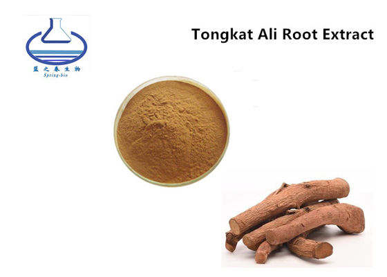 Factory Wholesale Bulk Pure Natural Tongkat Ali Root Extract