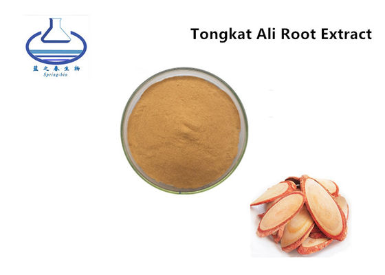 Manufacturer Wholesale Bulk Tongkat Ali Root Extract Powder