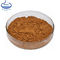 Pharmaceutical Natural Food Coloring Powder Alpinia Galangal Extract