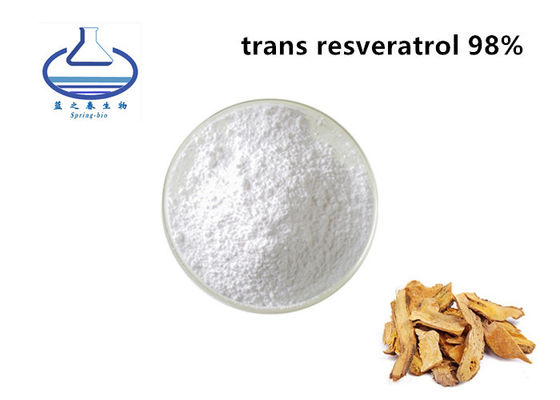 Trans Resveratrol 98 Polygonum Cuspidatum Root Extract  For Antioxidant