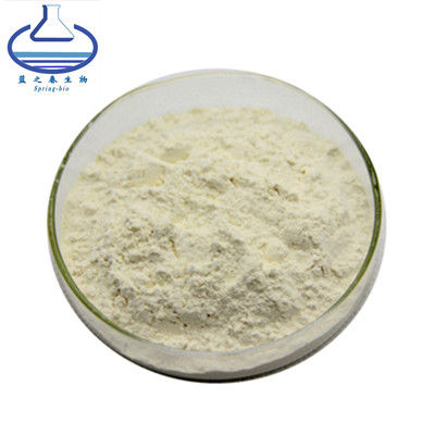 Food Grade Amylotriose Oat Beta Glucan Powder CAS 9041-22-9