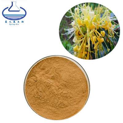 Honeysuckle Chlorogenic Acid Extract Pure 98.0% Relieving Toxic