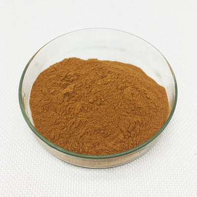 Honeysuckle Chlorogenic Acid Extract , Lonicera Japonica Flower Extract Powder