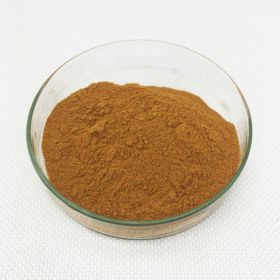 Honeysuckle Chlorogenic Acid Extract Pure 98.0% Relieving Toxic