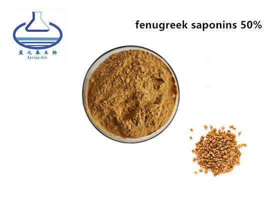 Supply High Quality Fenugreek Seed Extract Fenugreek Saponins Powder