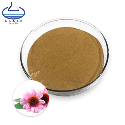 Herbal Angustifolia Echinacea Purpurea Root Powder 90028-20-9