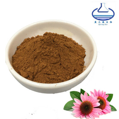 Herbal Angustifolia Echinacea Purpurea Root Powder 90028-20-9