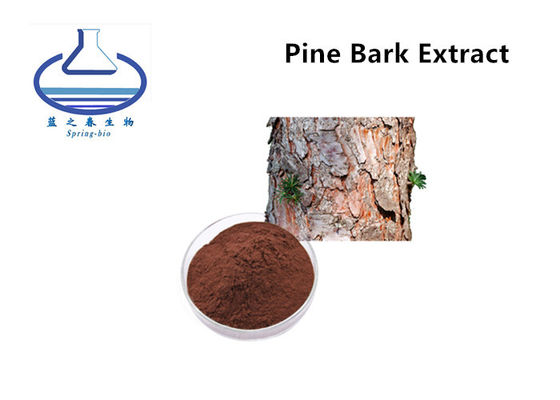 Proanthocyanidins Pinus Pinaster Extract CAS 20347-71-1 Food Additive