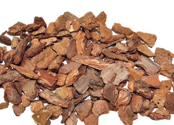 Proanthocyanidins Pinus Pinaster Extract CAS 20347-71-1 Food Additive