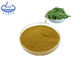 Flavonoids Bamboo Leaf Extract Powder Health Protect Raw Material
