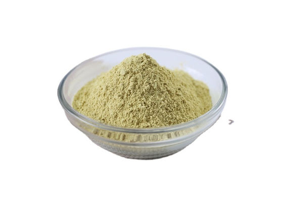 CAS 153-18-4 Pure Plant Extracts , Hydrate Rutin Sophora Japonica Extract Powder