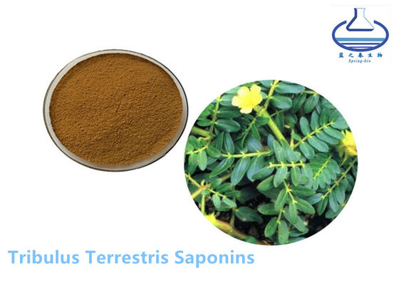 Tribulus Terrestris Extract Powder Protodioscin CAS 55056-80-9