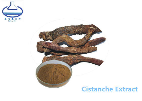 Echinacoside Cistanche Tubulosa Extract Powder for Healthcare Products