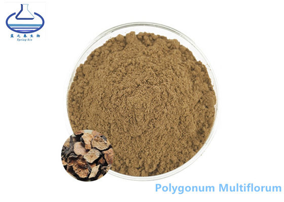 Polygonum Multiflorum Glutathione Extract Brown Powder CAS 501-36-0