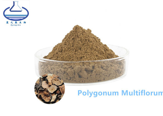 Polygonum Multiflorum Glutathione Extract Brown Powder CAS 501-36-0