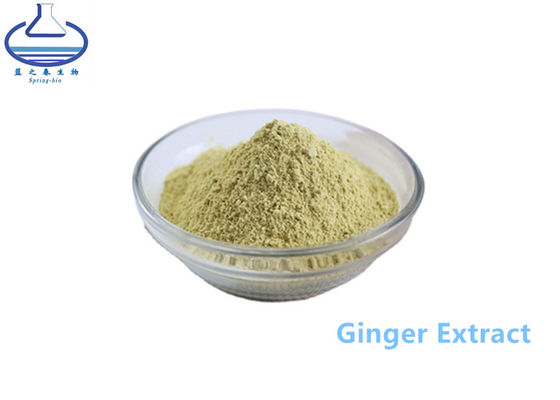 CAS 23513-14-6 Ginger Root Extract Powder for Healthcare Products