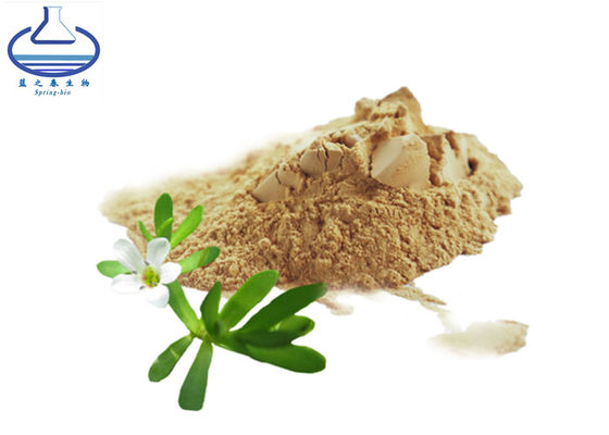 Bacopasides Lutein Extract Powder , 50% Bacopa Monnieri Brahmi Extract