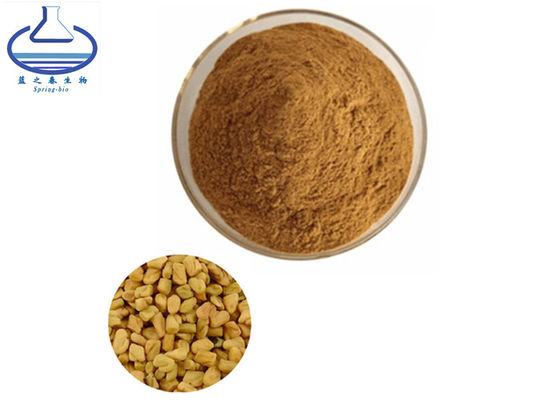 Wholesale Bulk Fenugreek Seed Extract Saponin Powder