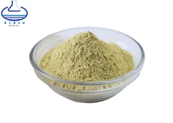 Rutin 98% Sophora Japonica Extract NF11/10-DAB Rutin Powder