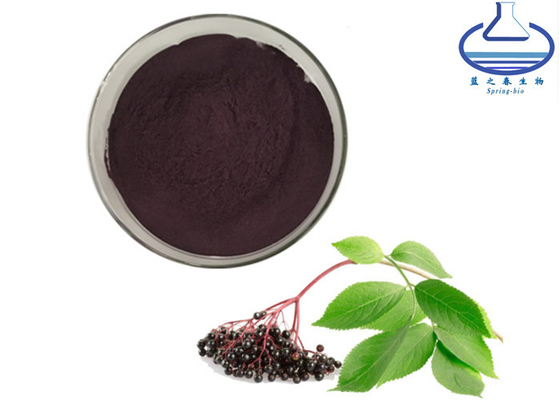 Food Grade Anthocyanin 25% Black Elderberry Extract Powder Black Currant Extract