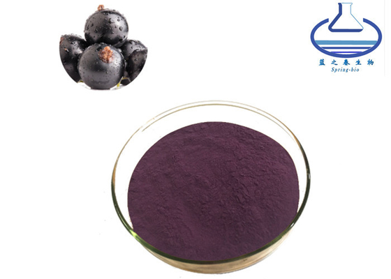 Food Grade Anthocyanin 25% Black Elderberry Extract Powder Black Currant Extract