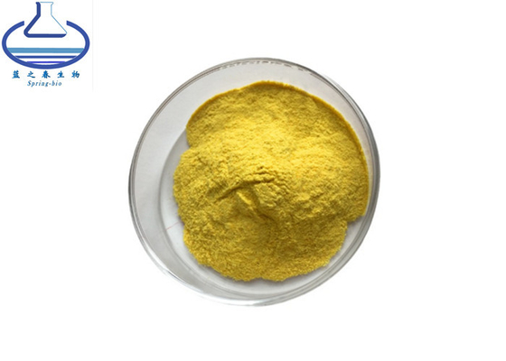 Scutellaria Baicalensis Root Extract Baicalin Powder CAS 21967-41-9