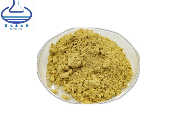 Scutellaria Baicalensis Root Extract Baicalin Powder CAS 21967-41-9