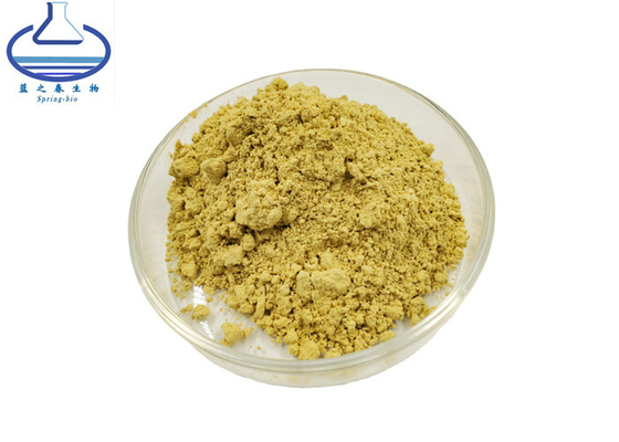 Scutellaria Baicalensis Root Extract Baicalin Powder CAS 21967-41-9