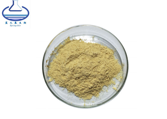 Lichen Extract 98% Usnic Acid 125-46-2 Usnic Acidusninic Acidusnein Usnea Powder