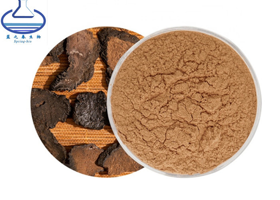 Herbal Plant Cistanche Tubulosa Deserticola Extract Powder