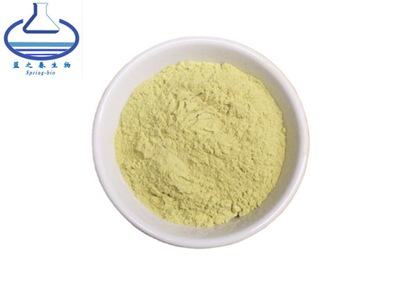 98% Sophora Japonica Extract Kaempferol Powder 520-18-3