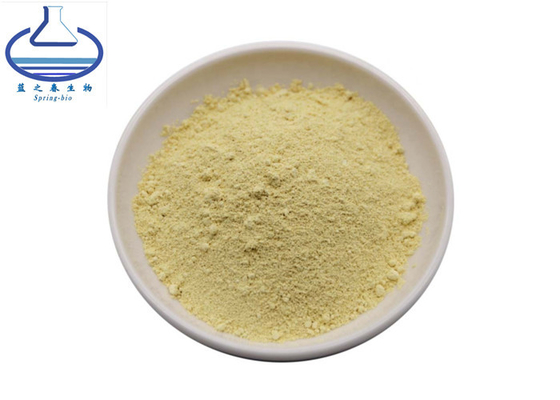 98% Sophora Japonica Extract Kaempferol Powder 520-18-3