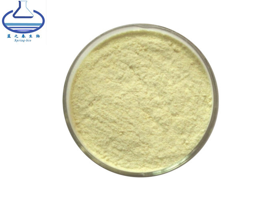 98% Sophora Japonica Extract Kaempferol Powder 520-18-3