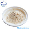 Chlorogenic Acid Green Coffee Bean Extract Food Grade
