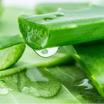 Cas481-72-1 Pure Plant Extracts Powder Aloe Vera Extract