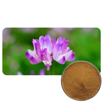 Organic Astragalus Extract Astragalus Root Extract Powder Astragaloside IV